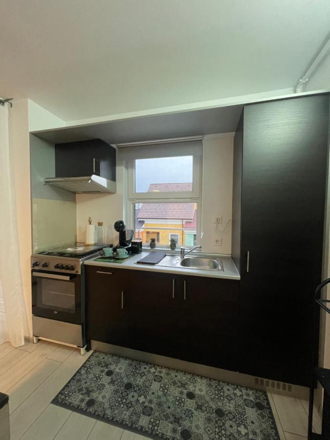 Welcome To Bucharest Airport Residences & Therme-self Check-in * Otopeni